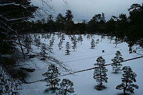 19991218-tyo-2114s.jpg