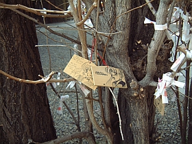 20010219-tyo-03s.jpg