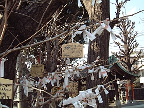 20010219-tyo-04s.jpg