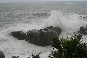 20030922-tyo-10s.jpg
