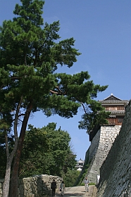 20030922-tyo-43s.jpg