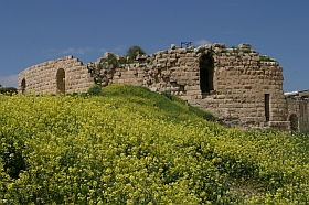 20040313-me-jo-jerash19s.jpg