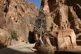 20040313-me-jo-petra09s.jpg