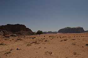 20040313-me-jo-wadirum04s.jpg