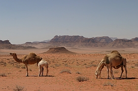 20040313-me-jo-wadirum18s.jpg