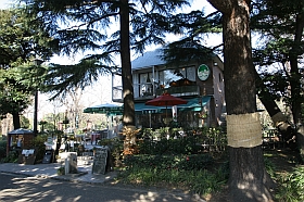 20050105-tyo-hby01s.jpg